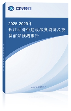 2025-2029LO{мͶYǰAy